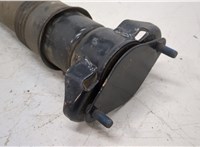  Амортизатор подвески Mercedes GL X164 2006-2012 20267682 #4