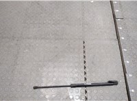  Амортизатор капота Nissan X-Trail (T30) 2001-2006 20267720 #1