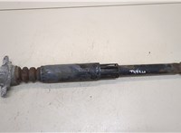  Амортизатор подвески Audi A3 (8V) 2012-2016 20267869 #1