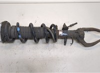  Амортизатор подвески Infiniti EX35 20268011 #1
