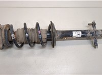  Амортизатор подвески Citroen Jumper (Relay) 2014- 20268041 #1