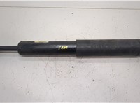  Амортизатор подвески Chrysler Pacifica 2003-2008 20268205 #1
