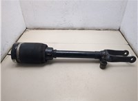 A1643206113 Амортизатор подвески Mercedes GL X164 2006-2012 20268431 #2