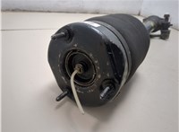 A1643206113 Амортизатор подвески Mercedes GL X164 2006-2012 20268438 #2