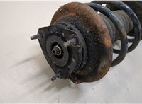  Амортизатор подвески Ford Focus 1 1998-2004 20268453 #2