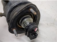  Амортизатор подвески Lexus LS460 2006-2012 20268521 #4