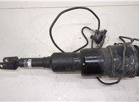  Амортизатор подвески Lexus LS460 2006-2012 20268532 #1