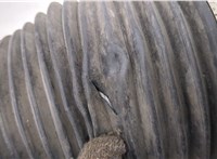  Амортизатор подвески Audi Q7 2006-2009 20268581 #6