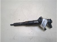 13537793836, 13537789661 Форсунка топливная BMW 5 E60 2003-2009 20268641 #1