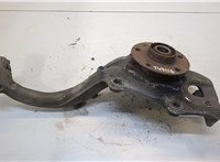  Ступица (кулак, цапфа) Audi A5 (8T) 2007-2011 20268959 #1
