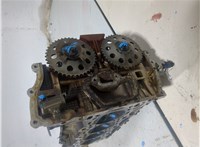 55355423 Головка блока (ГБЦ) Opel Corsa D 2006-2011 20269198 #1