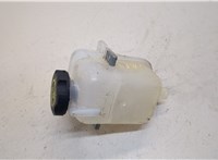  Бачок расширительный Chevrolet Volt 2015-2019 20269832 #2
