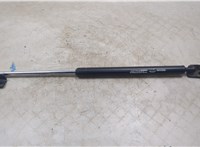  Амортизатор крышки багажника Infiniti FX 2003-2008 20270249 #1