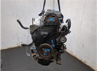 0135EF Двигатель (ДВС) Citroen Berlingo 2002-2008 20270491 #2