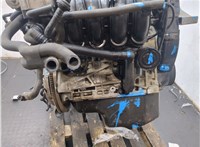 036100038BX Двигатель (ДВС) Seat Ibiza 3 2001-2008 20270772 #12