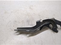 Петля капота Toyota Sienna 3 2010-2014 20270884 #2