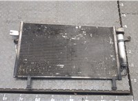  Радиатор кондиционера Nissan Pathfinder 1996-2005 20271222 #1