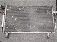 Радиатор кондиционера Nissan Pathfinder 1996-2005 20271222 #2