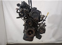  Двигатель (ДВС) Hyundai Accent 2000-2006 20271433 #1