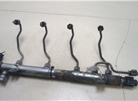 A6460700695, A6460701895 Рампа (рейка) топливная Mercedes Vito W639 2004-2013 20271751 #1