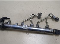  Рампа (рейка) топливная BMW 5 E60 2003-2009 20271886 #1