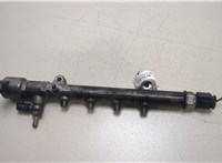  Рампа (рейка) топливная Mercedes C W204 2007-2013 20272293 #1