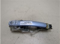 3B0837207GGRU, 3B0837886D Ручка двери наружная Volkswagen Passat 5 1996-2000 20272443 #1