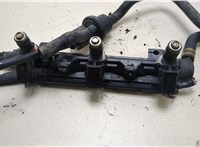  Форсунка топливная Skoda Fabia 2007-2010 20272864 #1