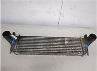 17512247966 Радиатор интеркулера BMW X5 E53 2000-2006 20273103 #2