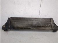 17512247966 Радиатор интеркулера BMW X5 E53 2000-2006 20273103 #3