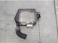  Радиатор интеркулера Hyundai Tucson 1 2004-2009 20273127 #2