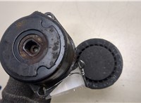  Натяжитель приводного ремня Volkswagen Transporter 4 1991-2003 20273169 #2
