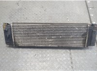  Радиатор интеркулера Mercedes Sprinter 2006-2014 20273173 #2