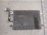 Радиатор кондиционера Skoda SuperB 2001-2008 20273244 #1