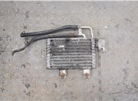  Радиатор масляный Hyundai Tucson 1 2004-2009 20273308 #1