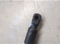 4L0827552 Амортизатор капота Audi Q7 2006-2009 20273376 #5