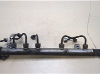  Рампа (рейка) топливная Mercedes A W169 2004-2012 20273380 #4