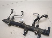 5159964AA Рампа (рейка) топливная Jeep Liberty 2002-2006 20273605 #4