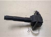  Катушка зажигания Volkswagen Passat 5 1996-2000 20273638 #1