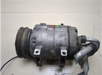  Компрессор кондиционера Volkswagen Passat 5 1996-2000 20273733 #1