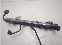 A6420700495 Рампа (рейка) топливная Mercedes E W211 2002-2009 20273889 #1