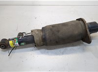  Амортизатор подвески Audi A6 (C5) Allroad 2000-2005 20275384 #1