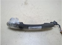 8200388111, 7701209580 Ручка двери наружная Renault Scenic 2003-2009 20275635 #1