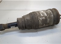  Амортизатор подвески Land Rover Range Rover Sport 2005-2009 20275721 #1
