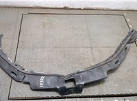  Накладка замка капота Buick Envista 20275785 #1