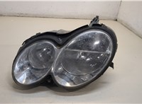  Фара (передняя) Mercedes CLK W209 2002-2009 20276056 #1