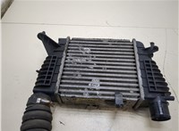  Радиатор интеркулера Renault Clio 2009-2012 20276089 #1