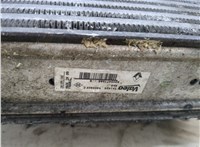  Радиатор интеркулера Renault Clio 2009-2012 20276089 #4