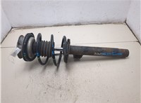 31331093081, 31311096852 Амортизатор подвески BMW 3 E46 1998-2006 20276356 #4