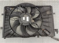  Вентилятор радиатора Mercedes C W203 2000-2007 20276382 #1